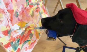 Dagger, il labrador che dipinge: quadri venduti anche a 200 dollari per beneficenza 