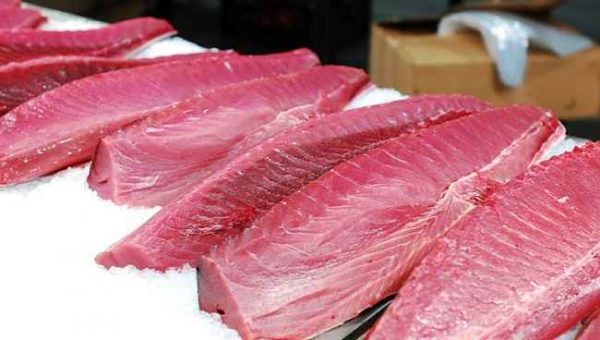  alt="Allerta intossicazione alimentare da tonno: 40 casi negli ultimi giorni"